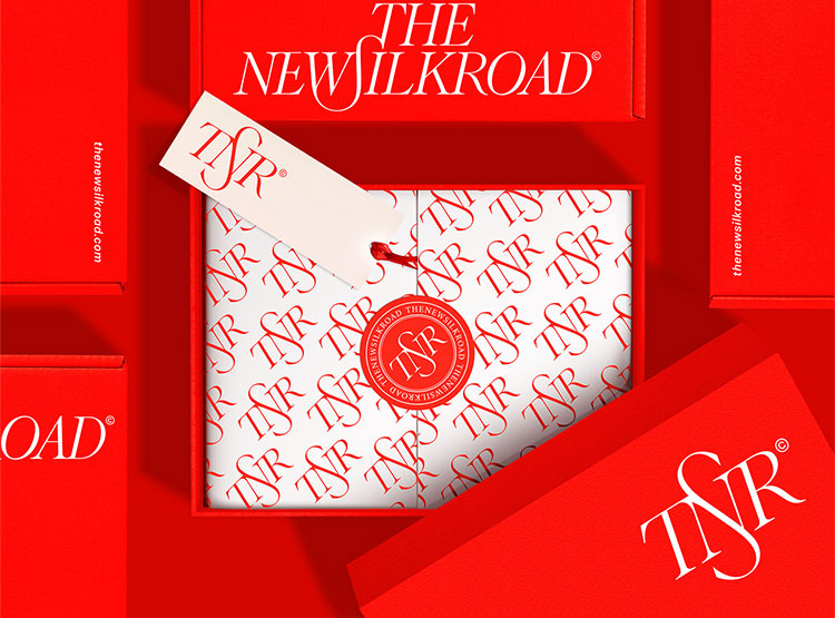 The New Silk Road貿(mào)易公司品牌VI設(shè)計(jì)